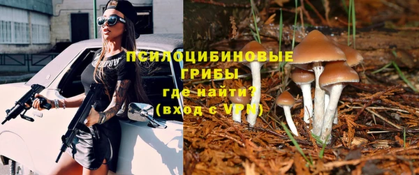 apvp Армянск