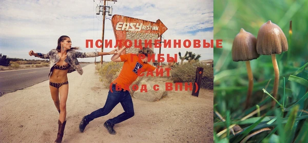 прущая мука Арсеньев