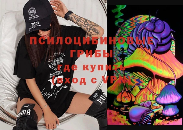 apvp Армянск