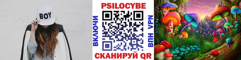Галлюциногенные грибы Cubensis  Купить где  Любань 